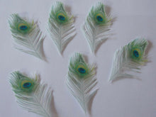 Load image into Gallery viewer, 12 PRECUT Edible paper Peacock Feathers cake/cupcake toppers
