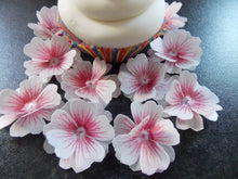 Load image into Gallery viewer, 12 x 3D Edible Pink and White flowers wafer/rice paper cake/cupcake toppers
