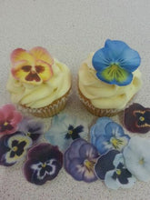 Load image into Gallery viewer, 12 PRECUT Edible Pansies wafer/rice paper cake/cupcake toppers
