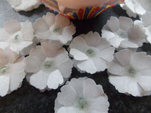 Load image into Gallery viewer, 12 x 3D Edible White (b) flowers wafer/rice paper cake/cupcake toppers

