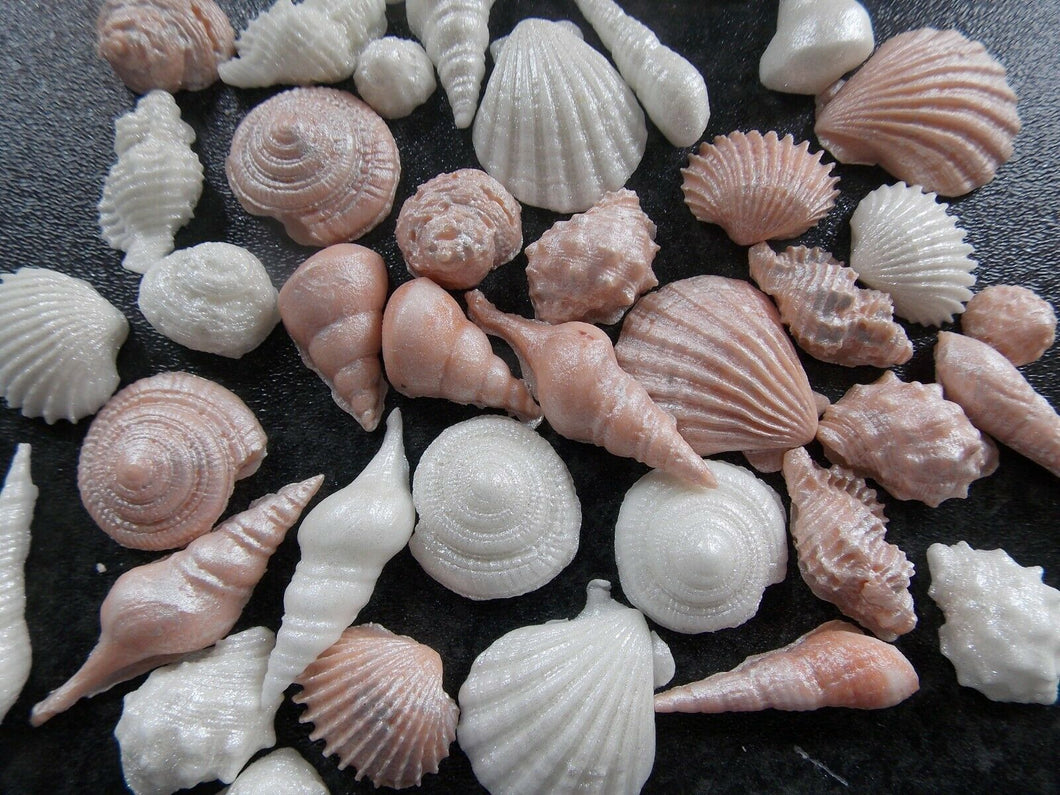 40 Edible Beige/Brown and White Shimmery Sea shells fondant cake/cupcake toppers