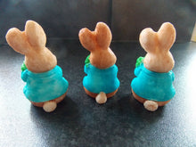 Load image into Gallery viewer, Edible Peter or Flopsy Rabbit and Vegetables fondant cake/cupcake toppers
