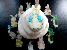Load image into Gallery viewer, 18 PRECUT Edible Peter Rabbit and Friends wafer paper cake/cupcake toppers
