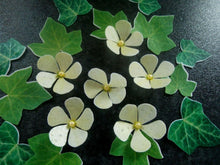 Load image into Gallery viewer, 24 small edible wafer paper flowers with leaves for cakes/cupcakes
