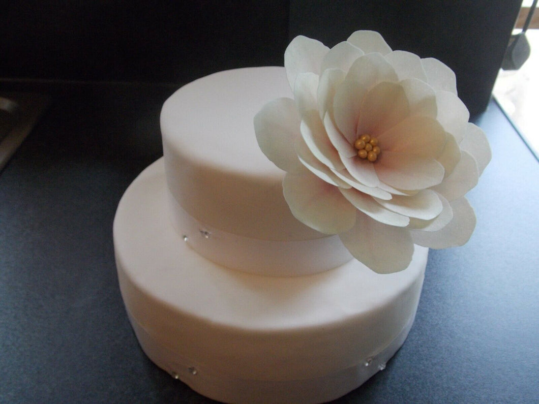 1 Extra Large edible wafer/rice paper cream/ivory open rose flower cake topper