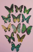 Load image into Gallery viewer, 12 Precut Edible Green Mix(2) Butterflies for cakes and cupcake toppers

