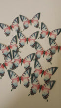 Load image into Gallery viewer, 12 Precut Edible Pastel Pink and Blue Butterflies for cakes and cupcake toppers
