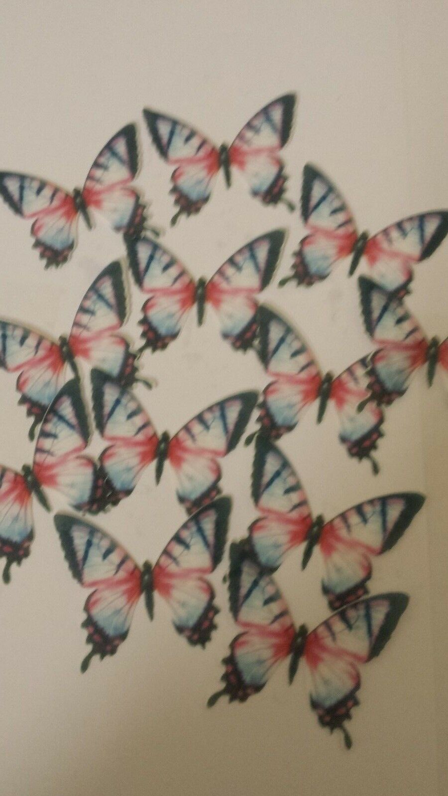 12 Precut Edible Pastel Pink and Blue Butterflies for cakes and cupcake toppers