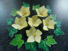 Load image into Gallery viewer, 12 edible wafer paper flowers with leaves for cakes/cupcakes
