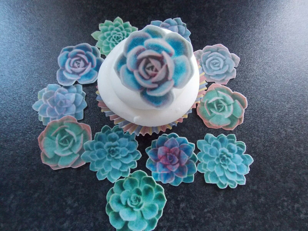 12 PRECUT Edible Cactus Flowers wafer/rice paper cake/cupcake toppers