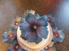 Load image into Gallery viewer, 12 x 3D Edible Purple (a) flowers wafer/rice paper cake/cupcake toppers
