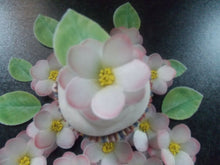 Load image into Gallery viewer, 34 piece 3D Edible pink flower and leaves wafer paper cake/cupcake topper (d)
