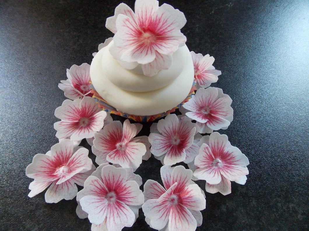 12 x 3D Edible Pink and White flowers wafer/rice paper cake/cupcake toppers