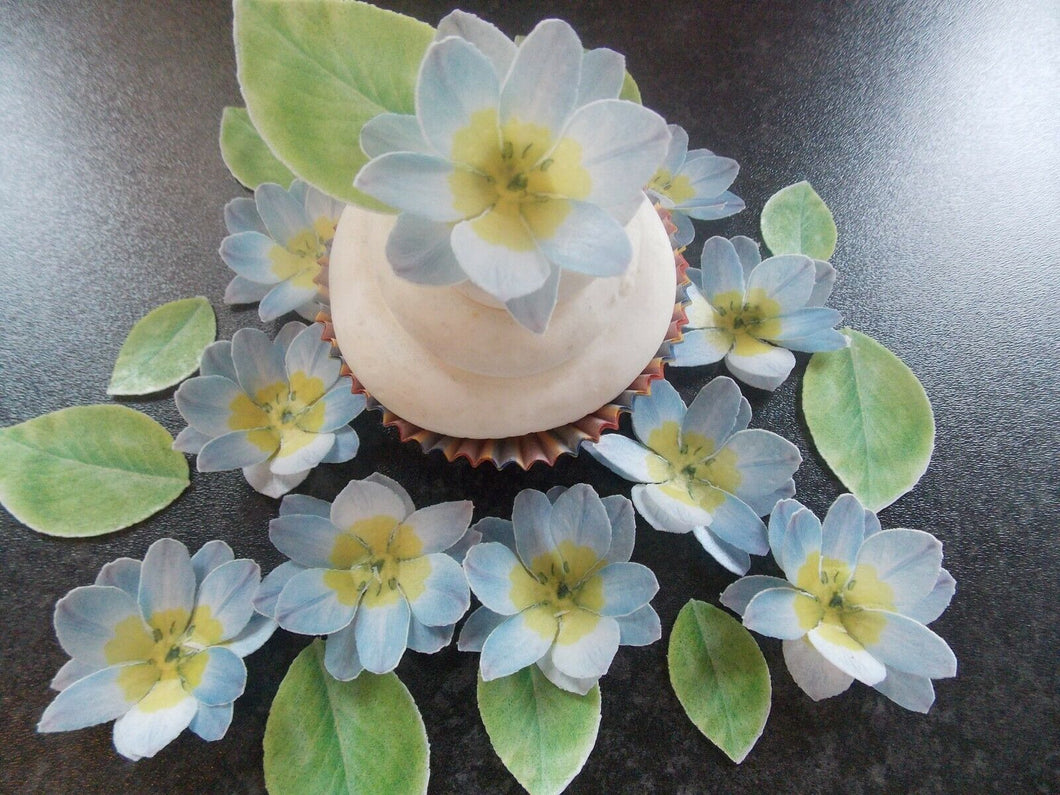 34 piece 3D Edible blue flower and leaves wafer paper cake/cupcake topper(e)