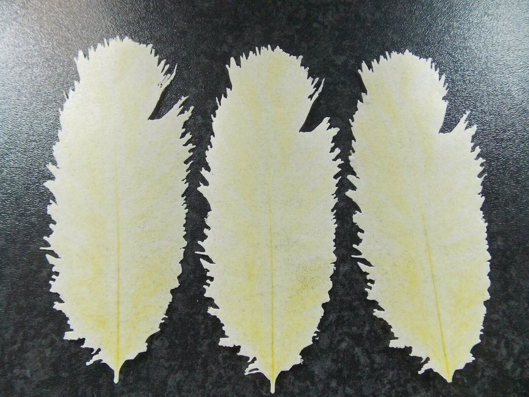 3 PRECUT Large Edible Yellow Ostrich/Burlesque Feather wafer paper cake topper