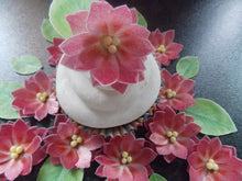 Load image into Gallery viewer, 34 piece 3D Edible pink flower and leaves wafer paper cake/cupcake topper(c)

